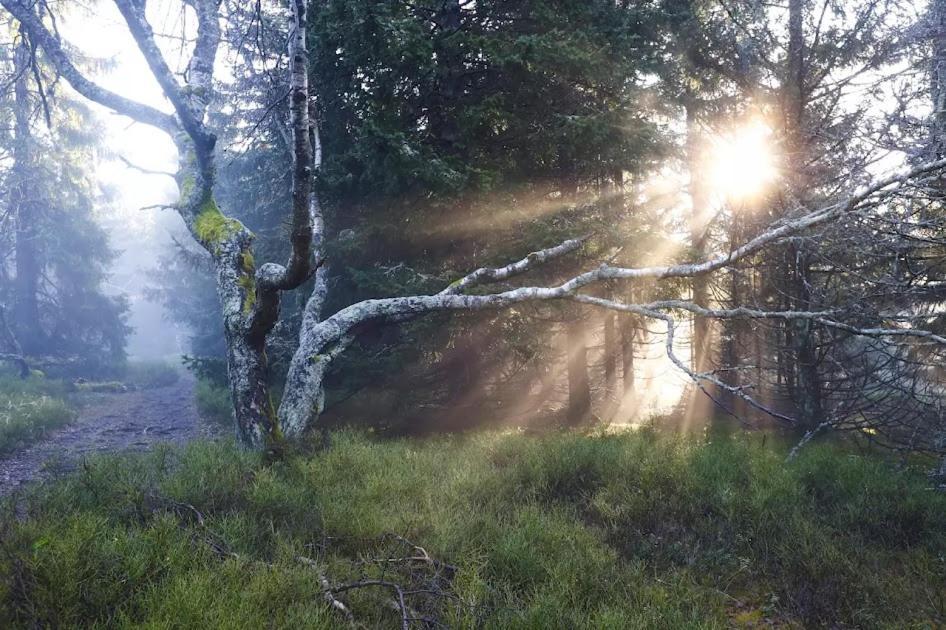 Wellness Pension Iveta Žacléř Dış mekan fotoğraf
