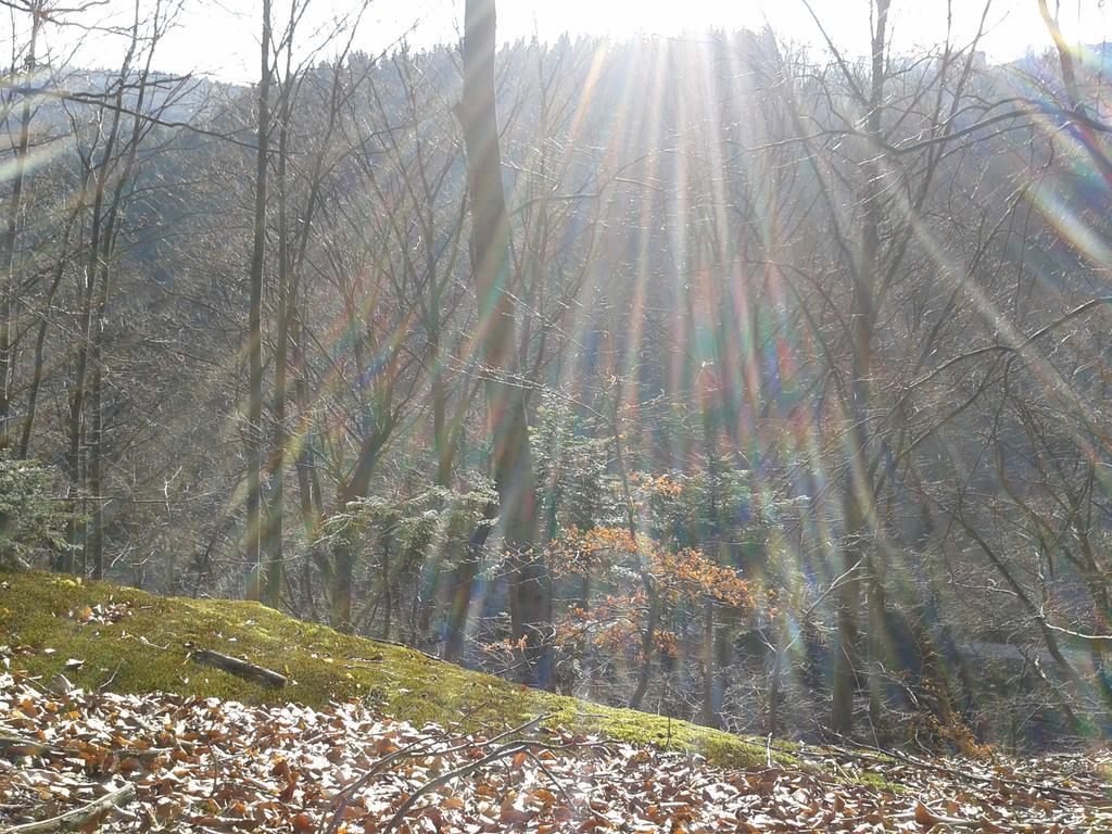 Wellness Pension Iveta Žacléř Dış mekan fotoğraf