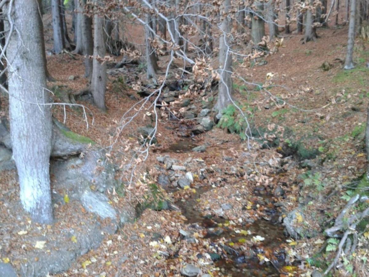 Wellness Pension Iveta Žacléř Dış mekan fotoğraf