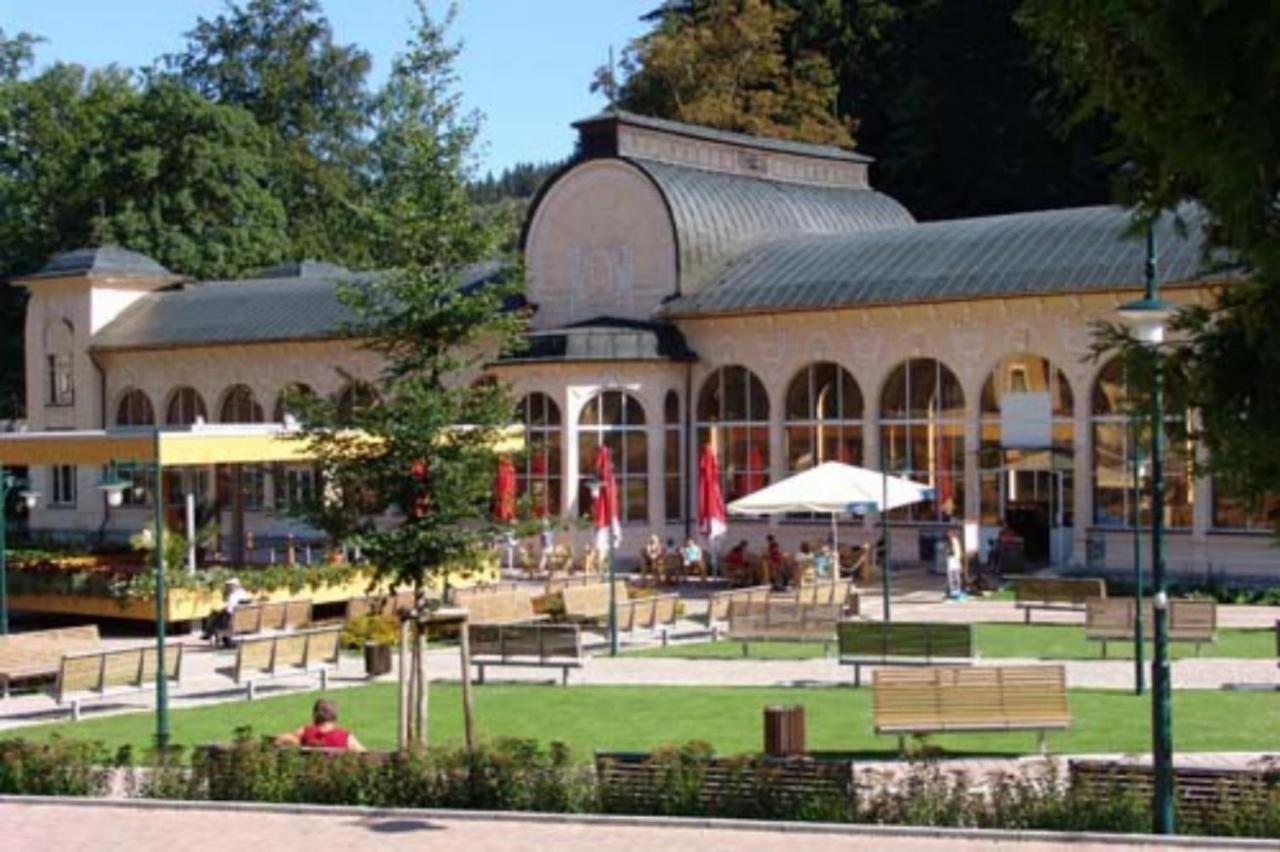 Wellness Pension Iveta Žacléř Dış mekan fotoğraf